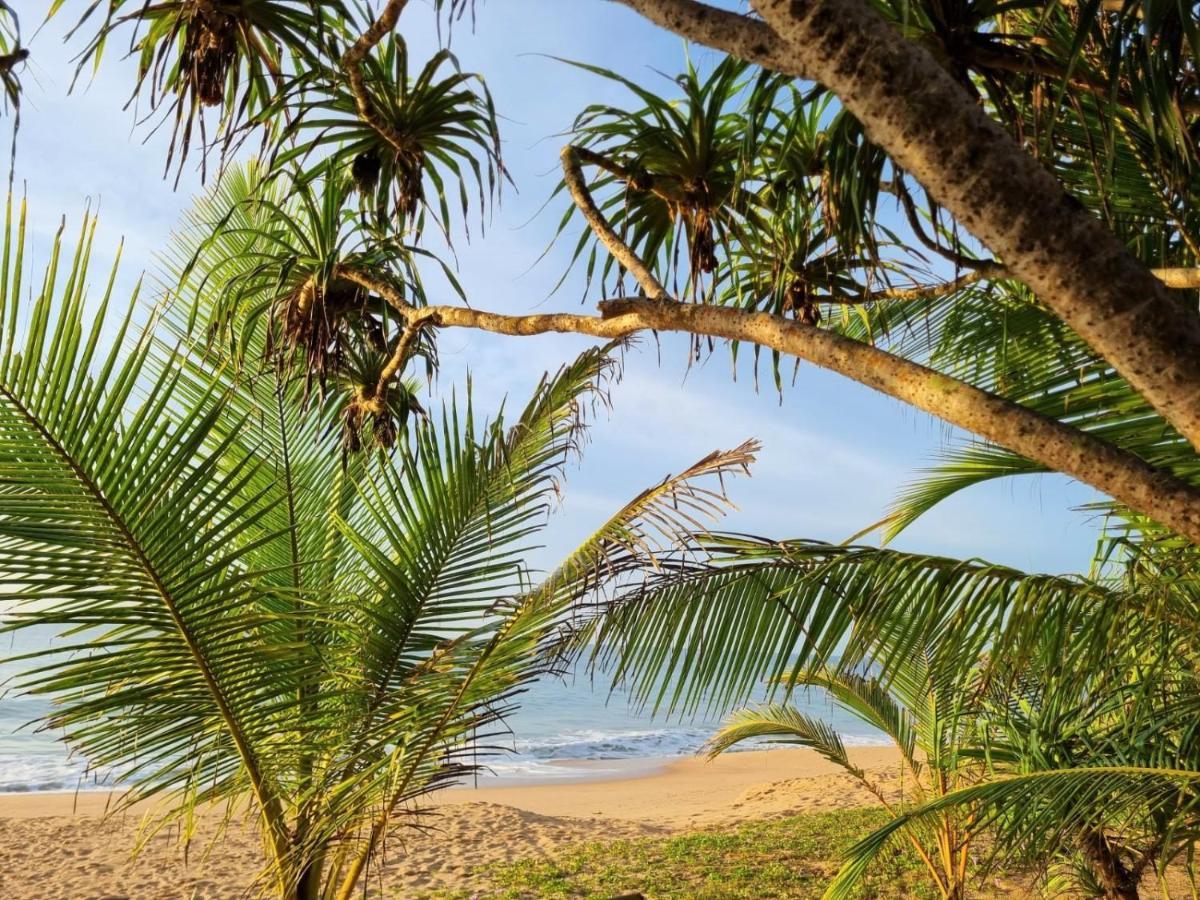 Golden Beach Paradise Tangalle Luaran gambar